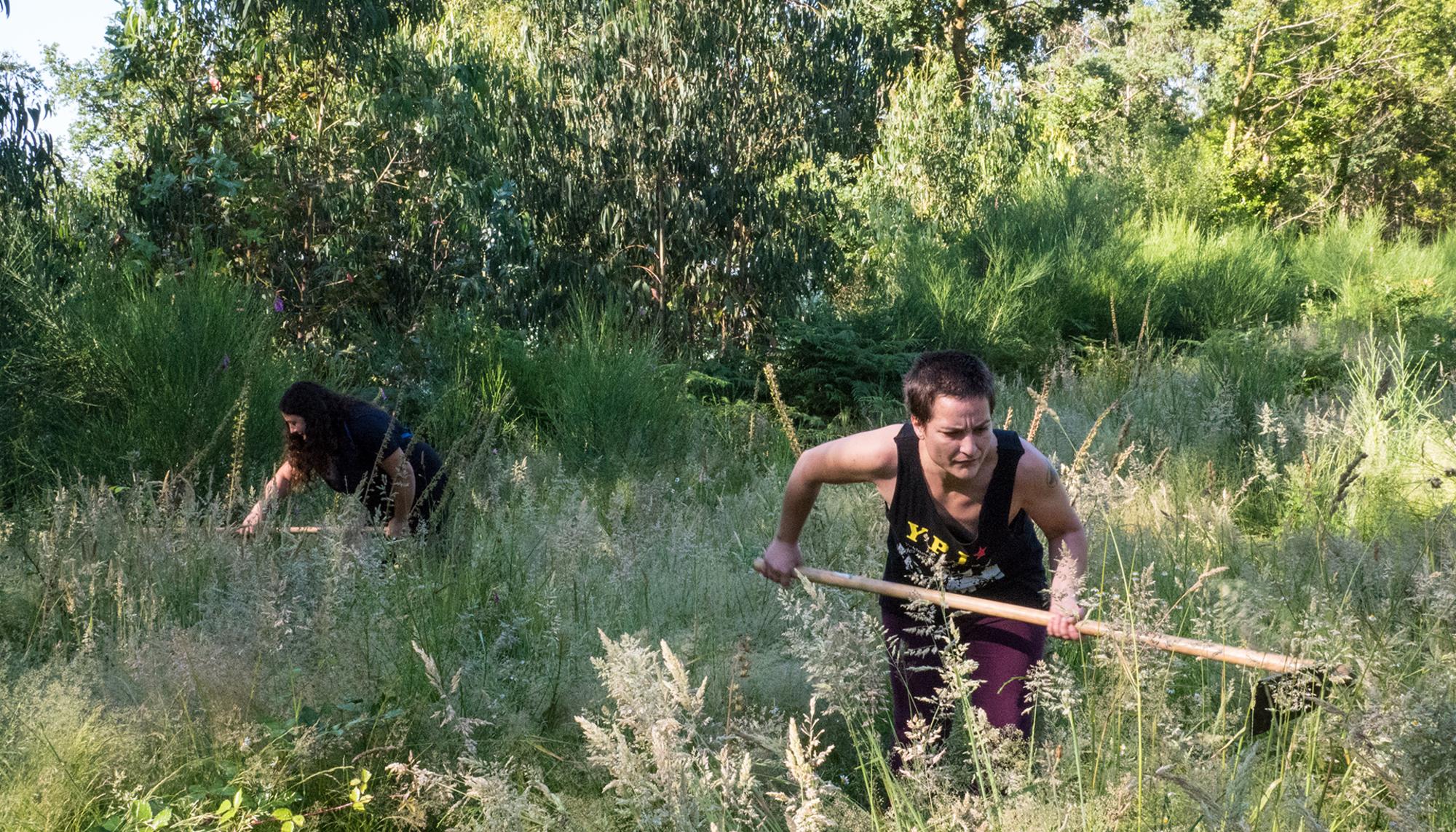 Brigadas Eucaliptos Verdegaia